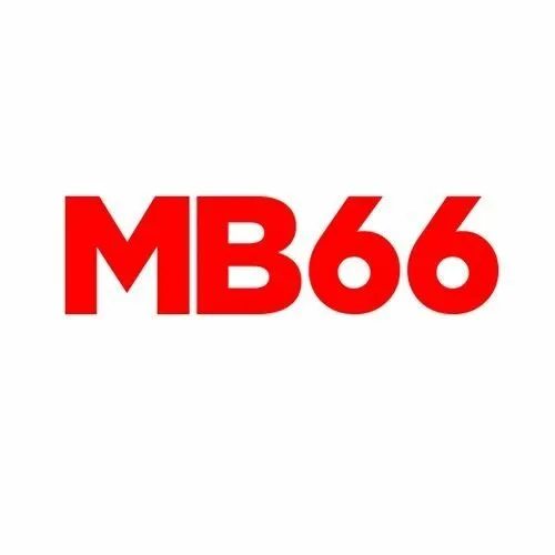Những loại giấy phép MB66 hiện sở hữu